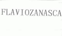 FLAVIOZANASCA