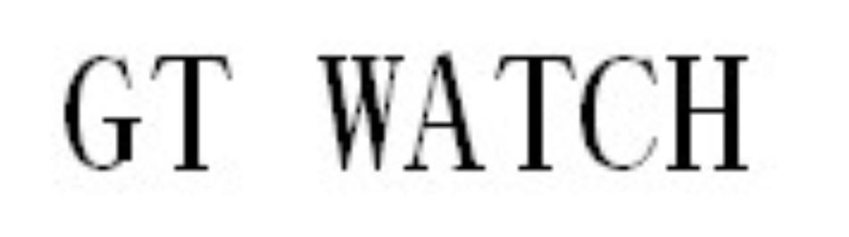 GT WATCH