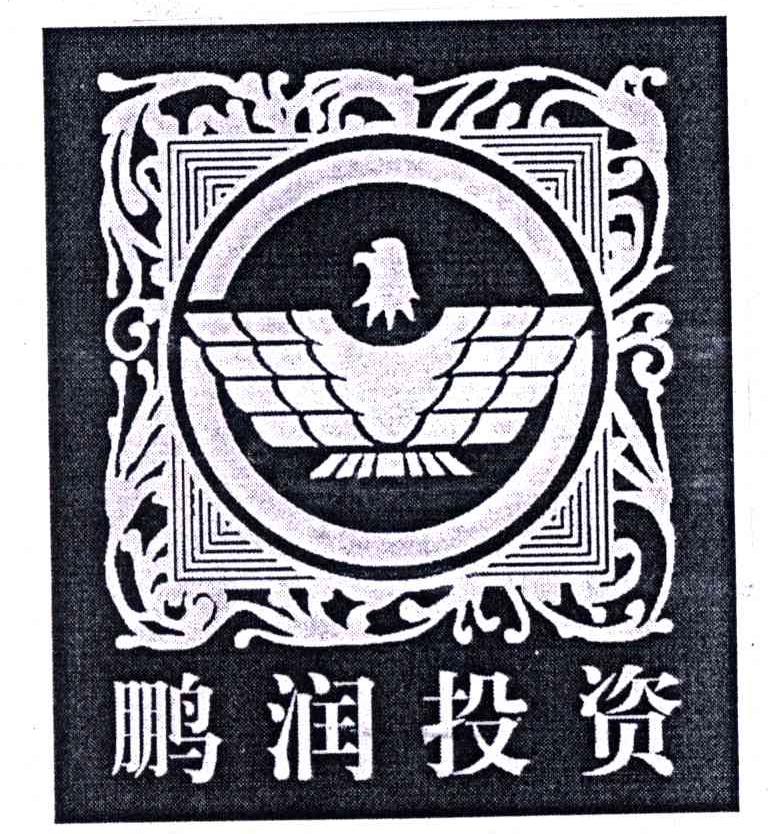 鹏润投资
