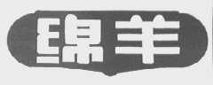 绵羊