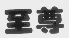 至尊