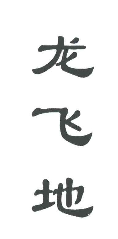 龙飞地