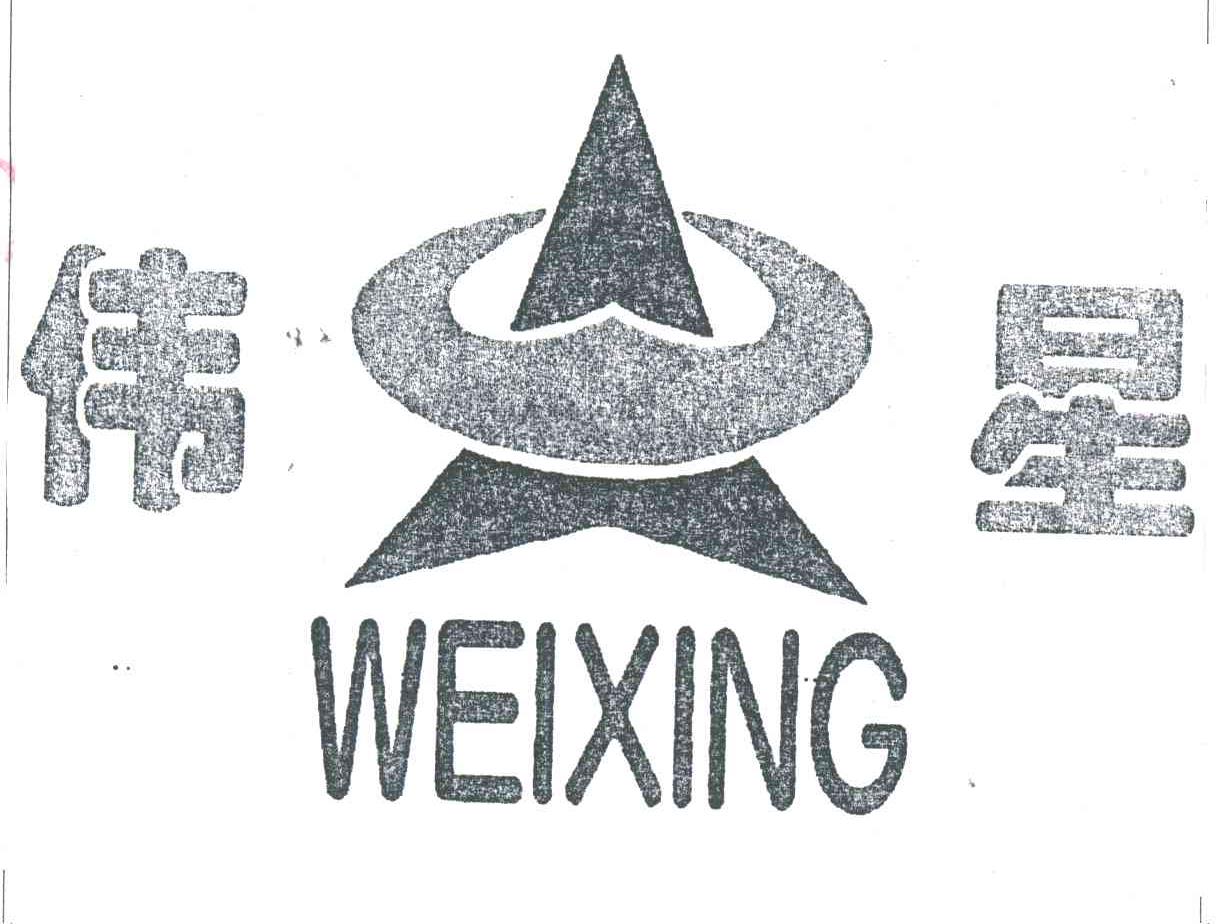 伟星;WEI XING