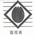 莲花英
