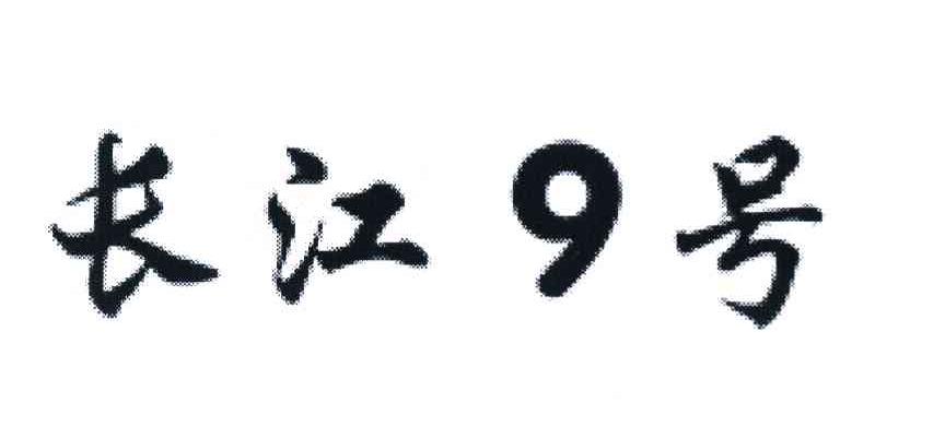 长江9号