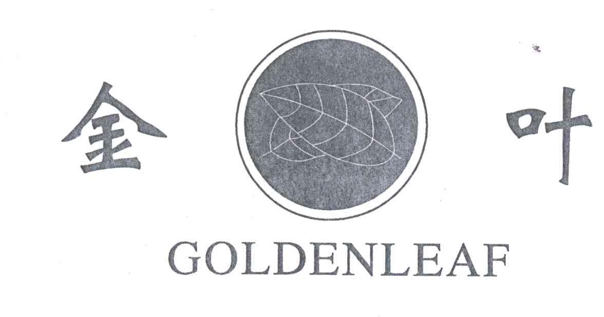 金叶;GOLDENLEAF