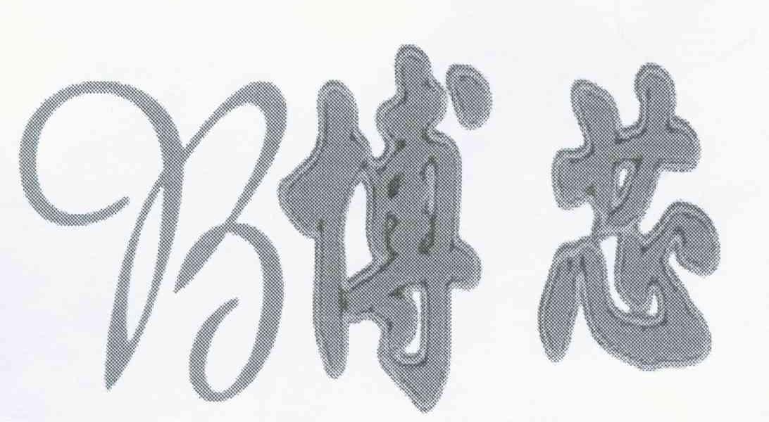 博芯 B