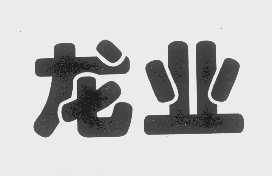 龙业