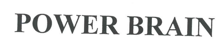 POWER BRAIN