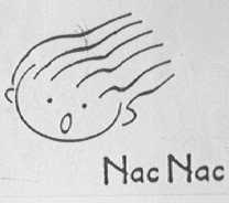 NAC NAC