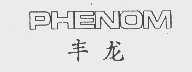 丰龙 PHENOM