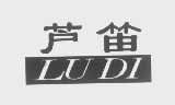 芦笛