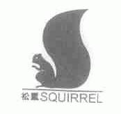 松鼠;SQUIRREL