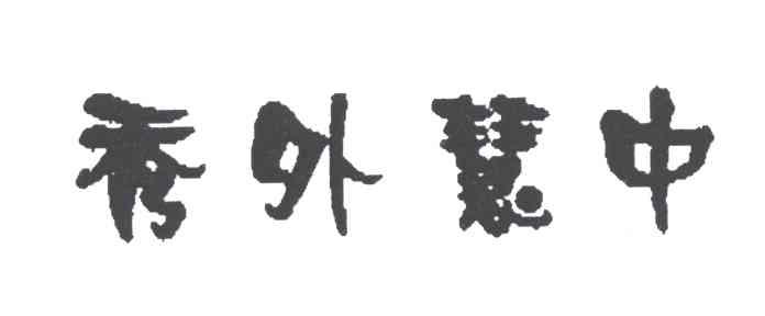 秀外慧中