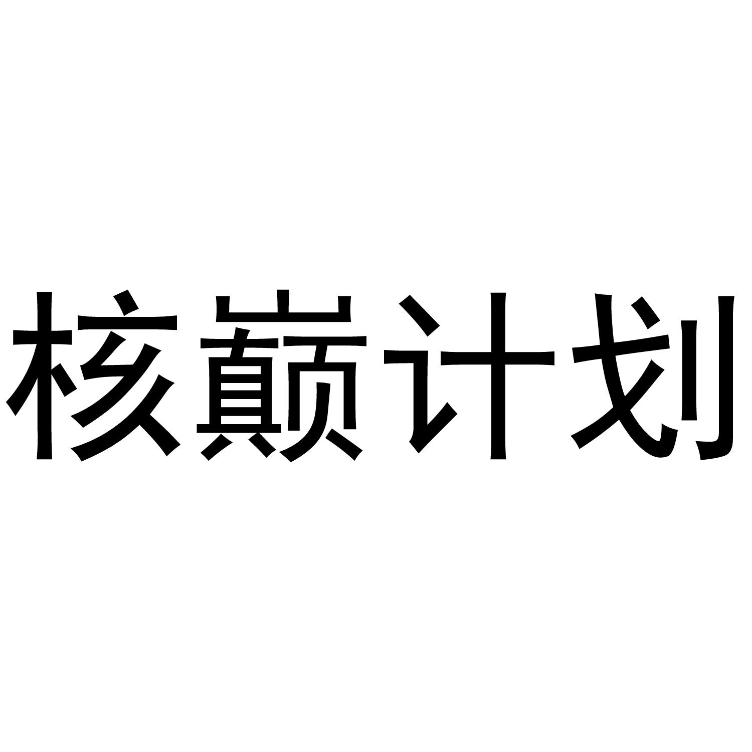 核巅计划
