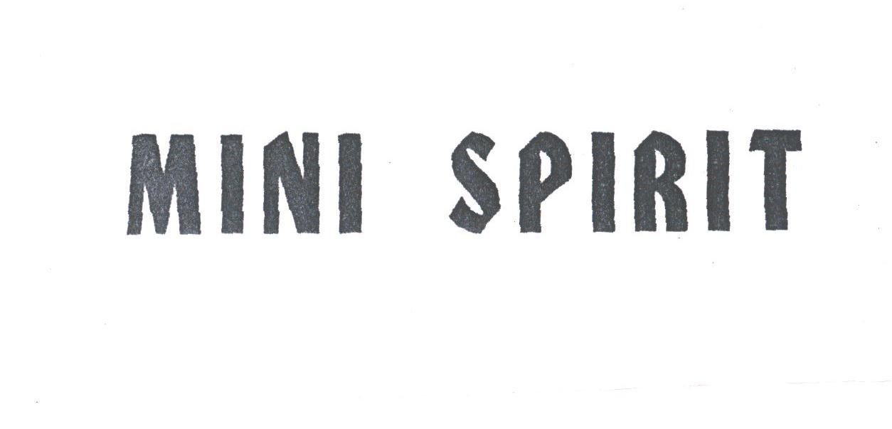 MINI SPIRIT