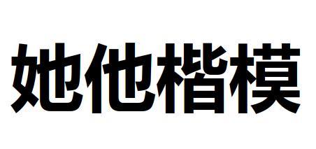 她他楷模