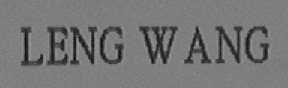 LENG WANG