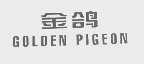 金鸽   GOLDEN PIGEON