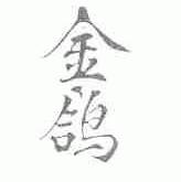 金鸽