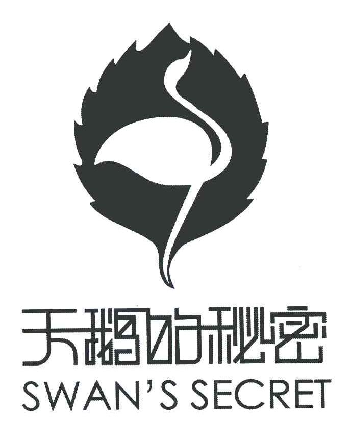 天鹅的秘密 SWAN＇S SECRET