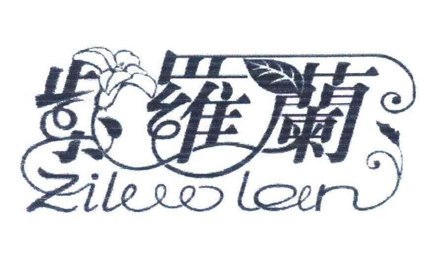 紫罗兰