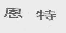 恩特