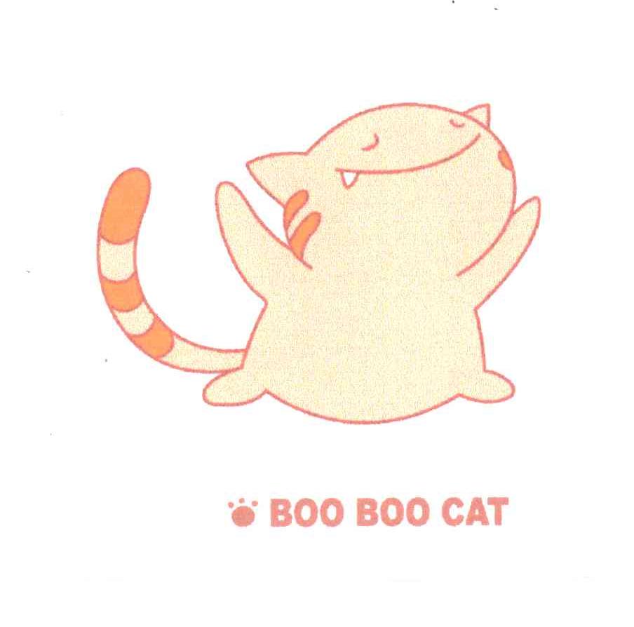 BOO BOO CAT