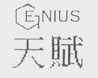 天赋    GENIVS