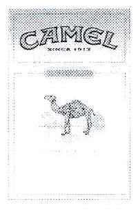 CAMEL SINCE 1913