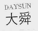 大舜;DAYSUN