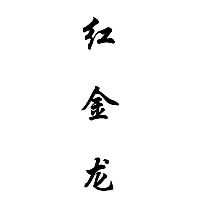 红金龙