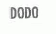 DODO