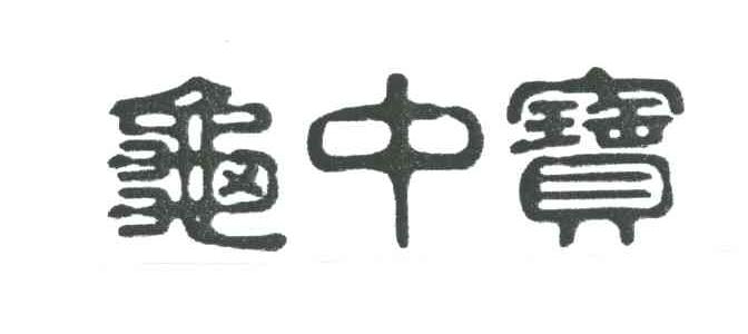龟中宝