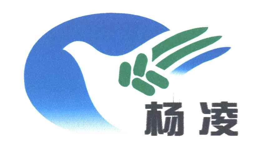 杨凌