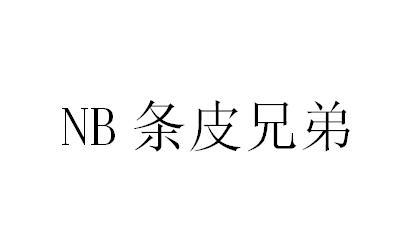 NB 条皮兄弟