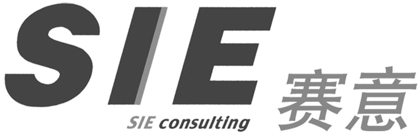 赛意 SIE SIE CONSULTING