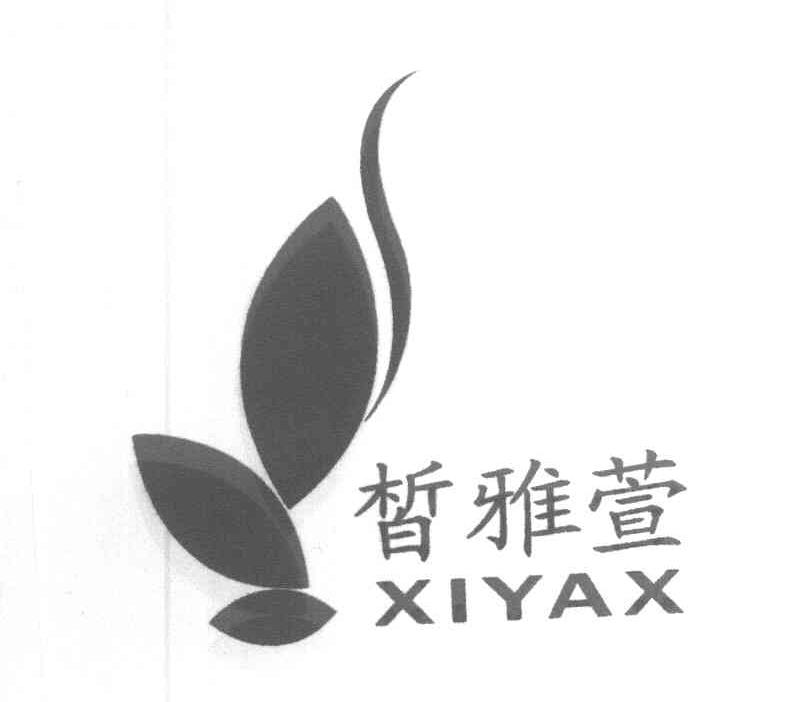 皙雅萱 XIYAX