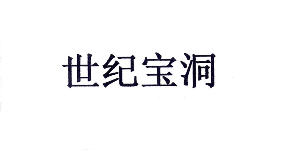 世纪宝洞