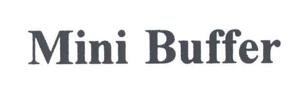 MINI BUFFER