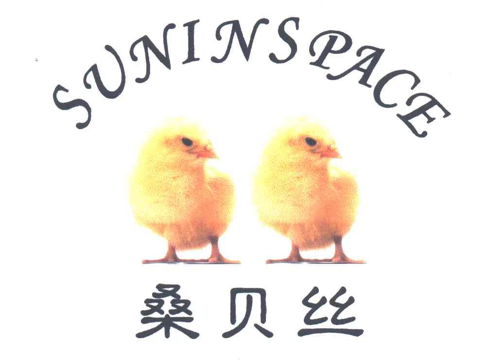 桑贝丝;SUNINSPACE