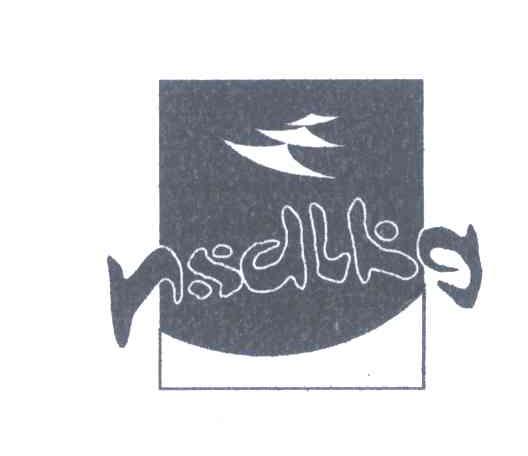 NSDLKG