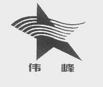 伟峰