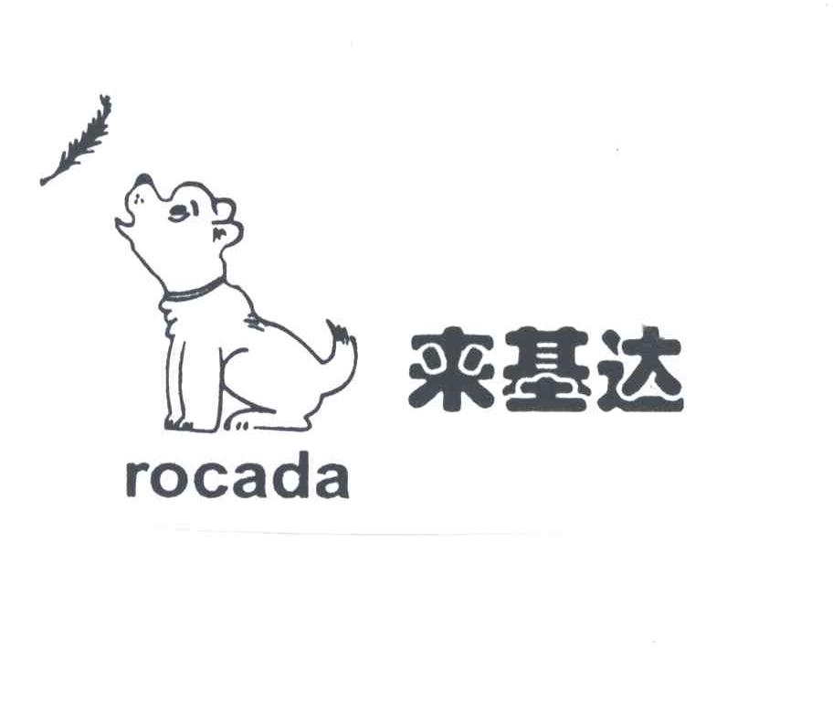 来基达ROCADA