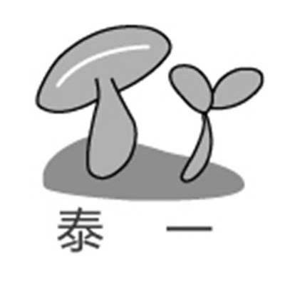 泰一 TY