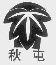 秋屯