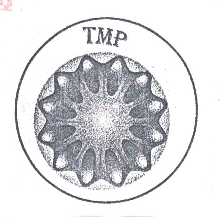 TMP及图
