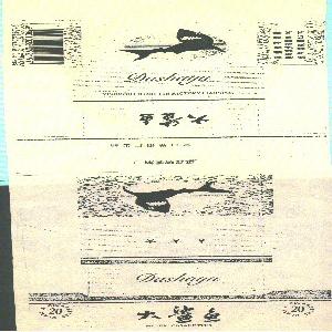 大鲨鱼