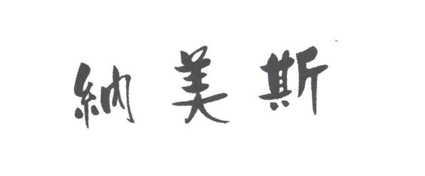 纳美斯