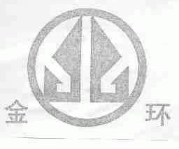 金环